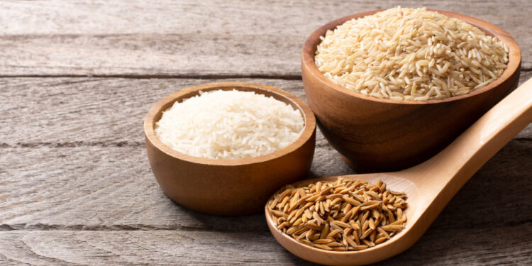 White Rice Versus Brown Rice: What Is The Difference? | Shoot Bloging